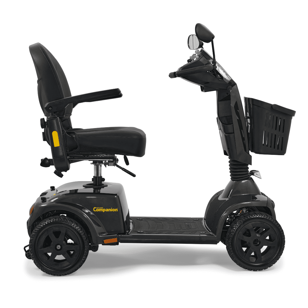 companion side view