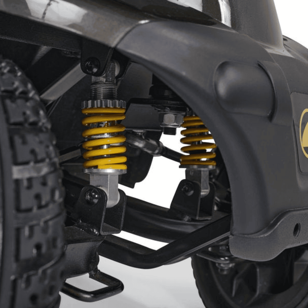 companion springs